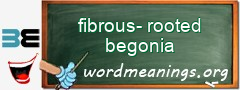 WordMeaning blackboard for fibrous-rooted begonia